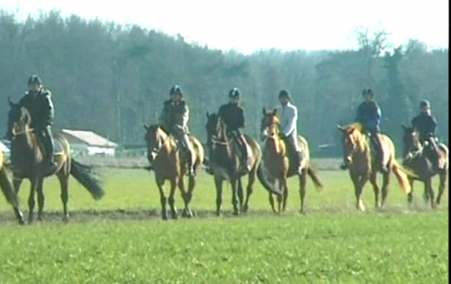 balade equestre en Essonne
